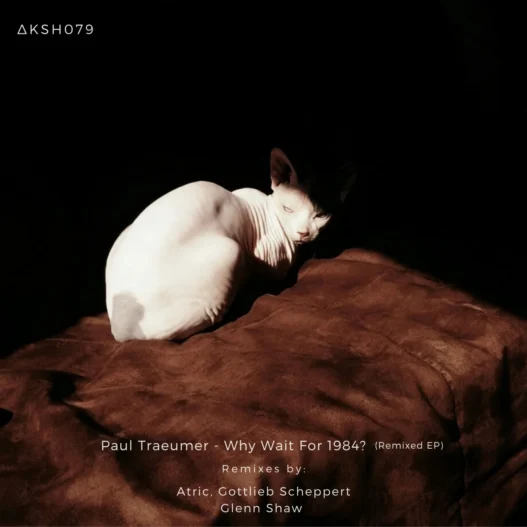 Paul Traeumer &#8211; Embrance The Dark [Atric Remix]